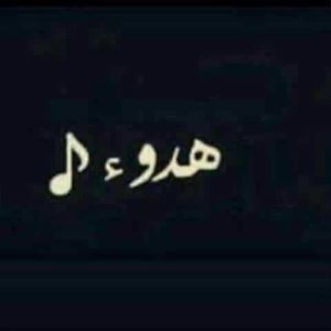 Meet your Posher, Adel